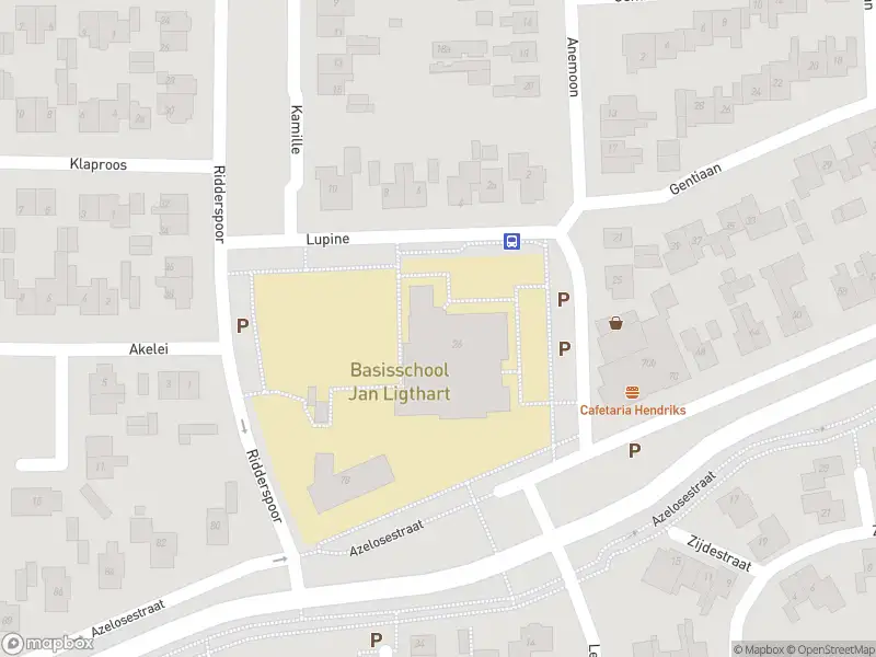 Politie naar de Azelosestraat in Borne vanwege aanrijding met letsel