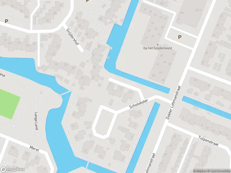 Overlastmelding Scholekster in Obdam