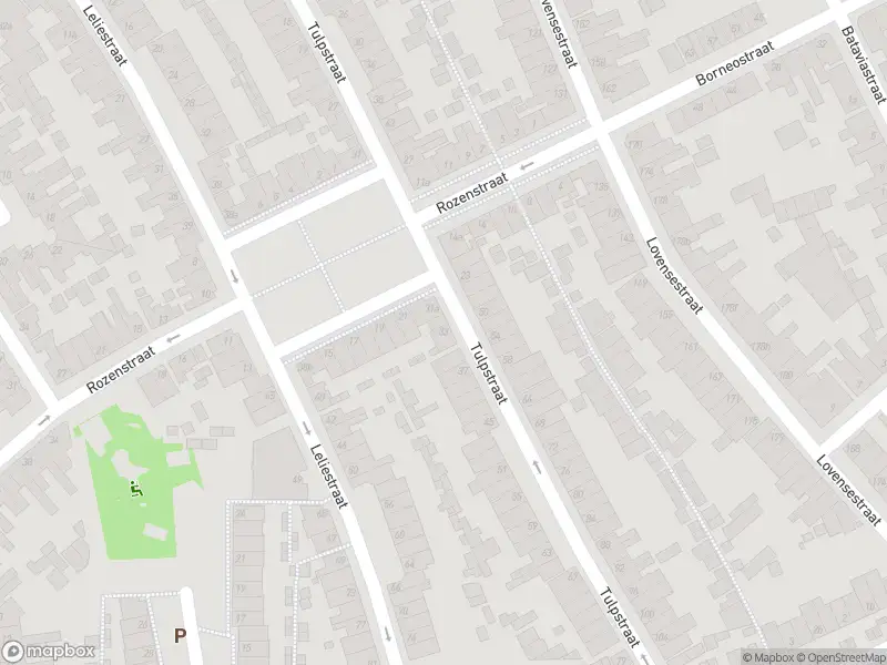 Overlastmelding Tulpstraat in Tilburg