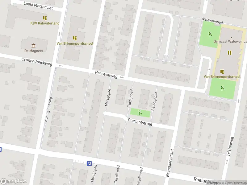 Ambulance met grote spoed naar de Turpijnpad in Rotterdam