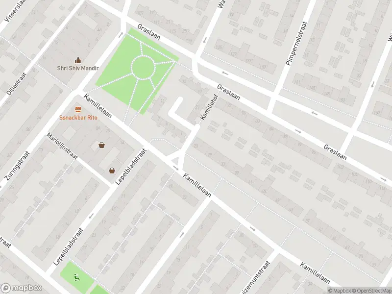 Overlastmelding Kamillelaan in Arnhem