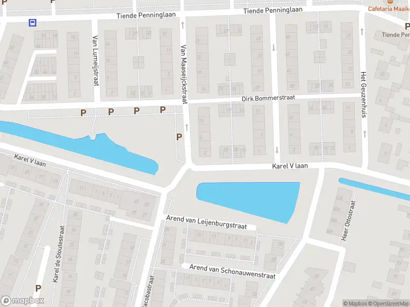 Ambulance met grote spoed naar de Van Maaseijckstraat in Gorinchem