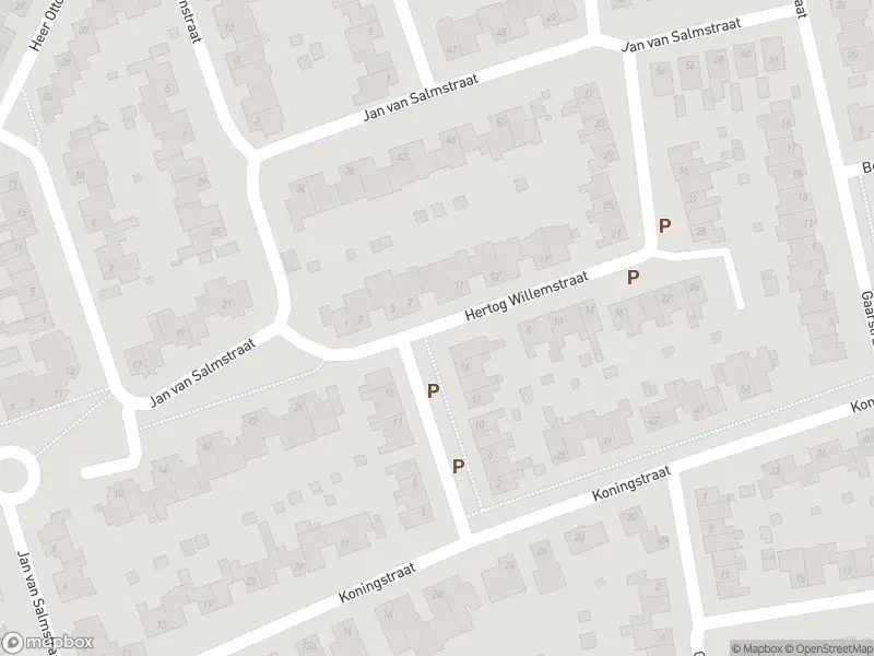 Overlastmelding Hertog Willemstraat in Born