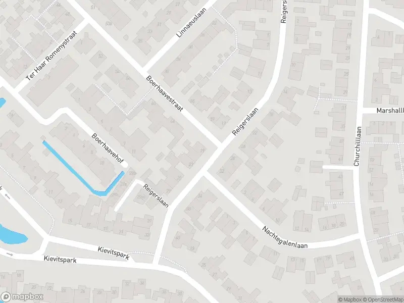 Overlastmelding Reigerslaan in Voorhout