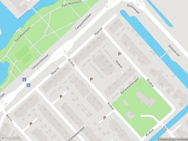 Overlastmelding Krokus in Voorhout gesloten