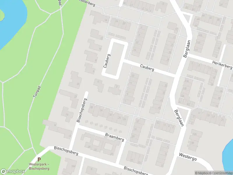 Ambulance met grote spoed naar de Cauberg in Zoetermeer