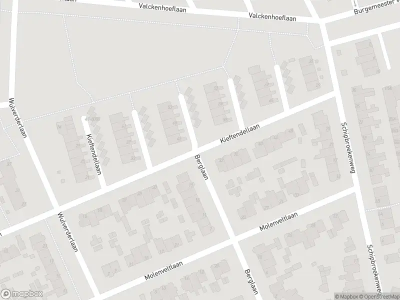 Overlastmelding Kieftendellaan in Santpoort-Noord
