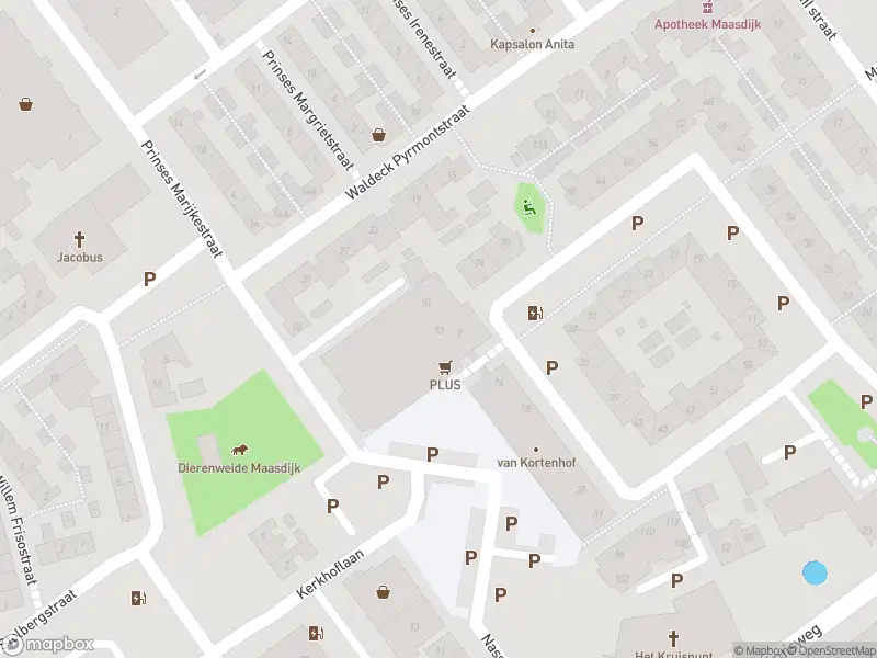 Ambulance met grote spoed naar de Oranjeplein in Maasdijk