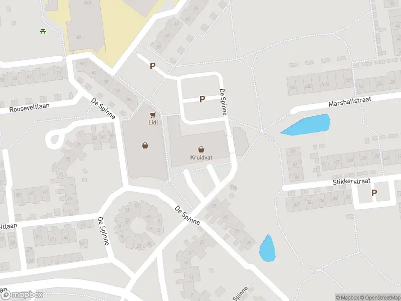 Overlastmelding De Spinne in Goes