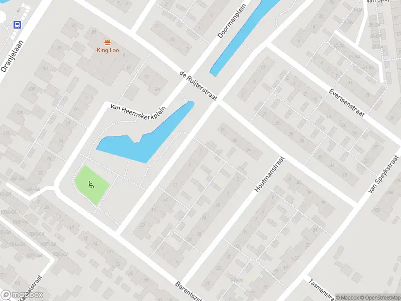 Overlastmelding Van Heemskerkplein in Lisse (2161 TG)