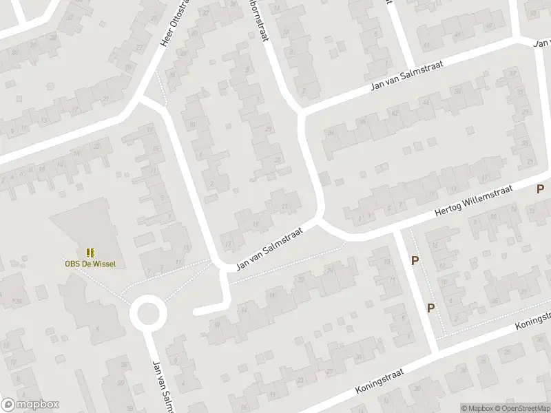 112 melding Overlastmelding Jan van Salmstraat in Born