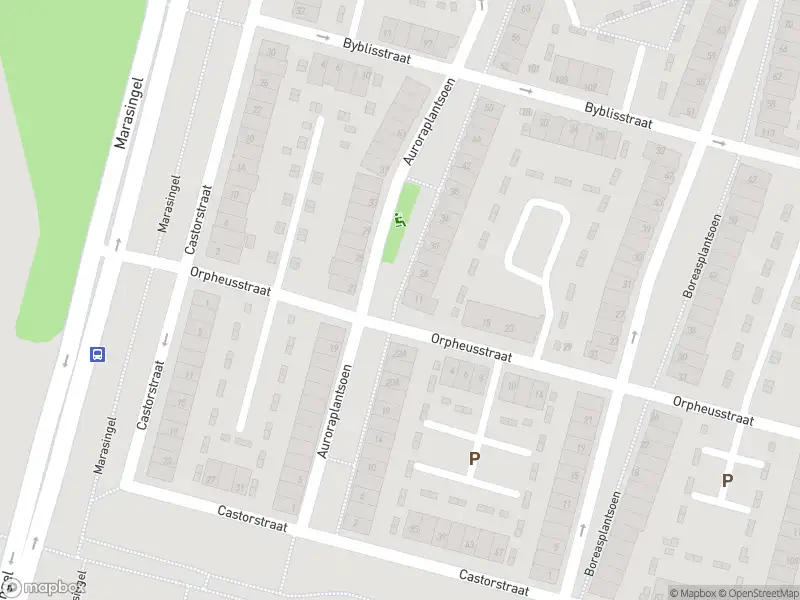 Overlastmelding Castorstraat in Arnhem (6846 XB)