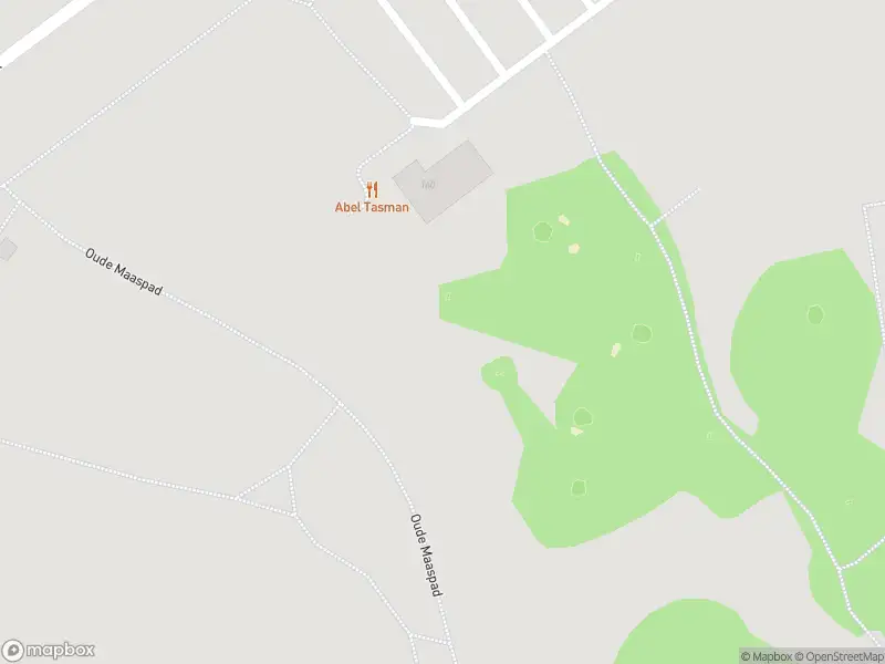 Ambulance met gepaste spoed naar de Albrandswaardsedijk in Poortugaal