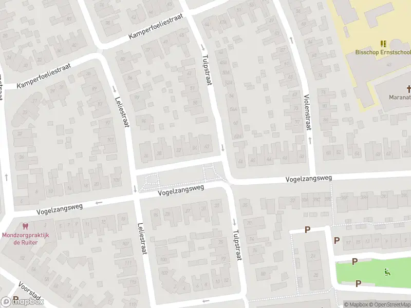 112 melding Overlastmelding Tulpstraat in Goes