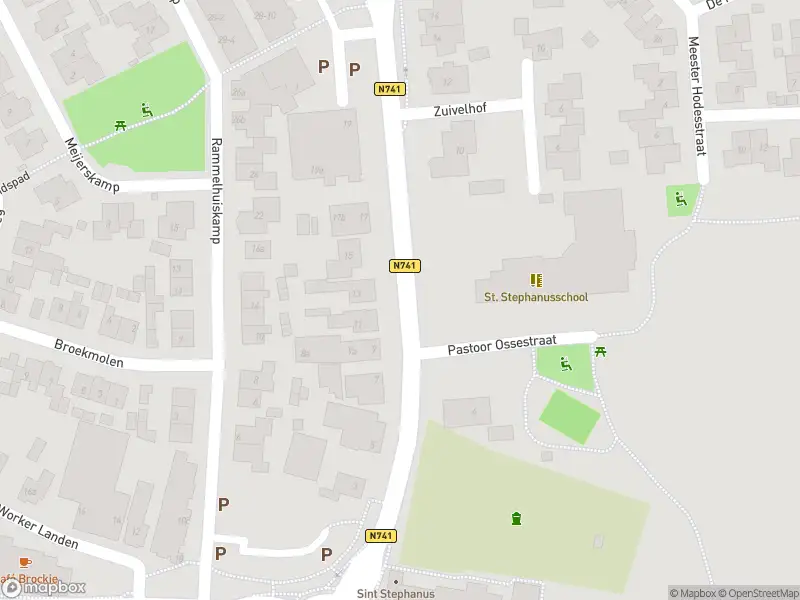 Brandweer met grote spoed naar de Tusveld in Bornerbroek