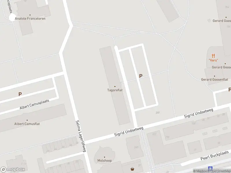 Besteld ambulance vervoer naar de Tagoreplaats in Rotterdam