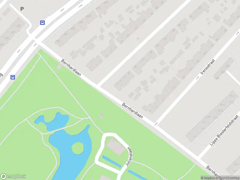 Overlastmelding Bernhardlaan in Arnhem