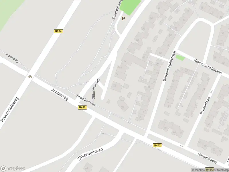 Overlastmelding Zilkerduinweg in De Zilk