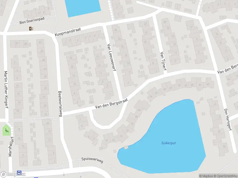 Overlastmelding Van Leeuwenerf in Oud-Beijerland