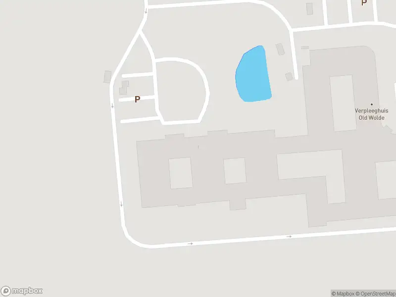 Ambulance, brandweer en politie met grote spoed naar de Udesweg in Winschoten