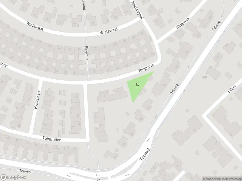 112 melding Overlastmelding Ringmus in Heemskerk