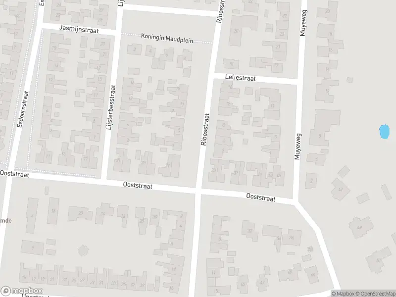 Brandweer met gepaste spoed naar de Ribesstraat in Nieuwerkerk