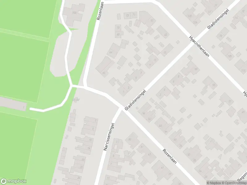 112 melding Overlastmelding Gladiolensingel in Geleen