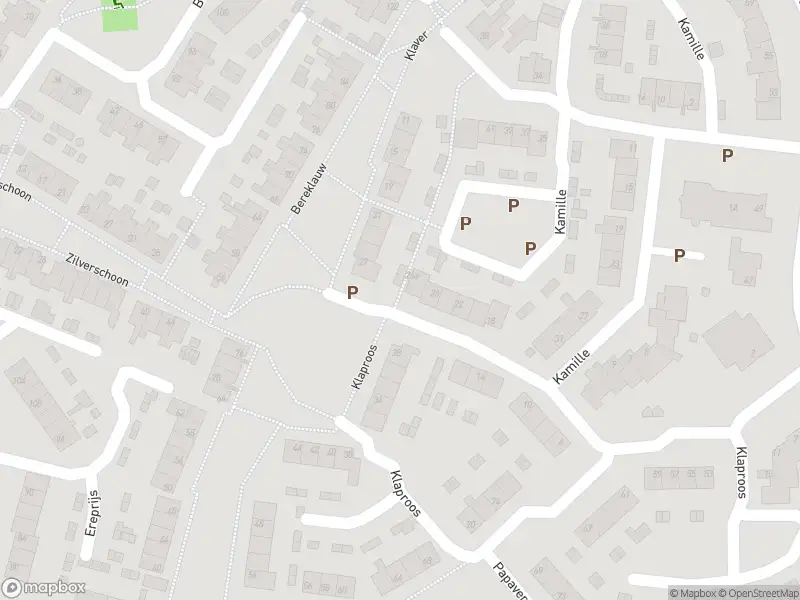 Brandweer met grote spoed naar de Laan van Welgelegen in Werkendam vanwege reanimatie