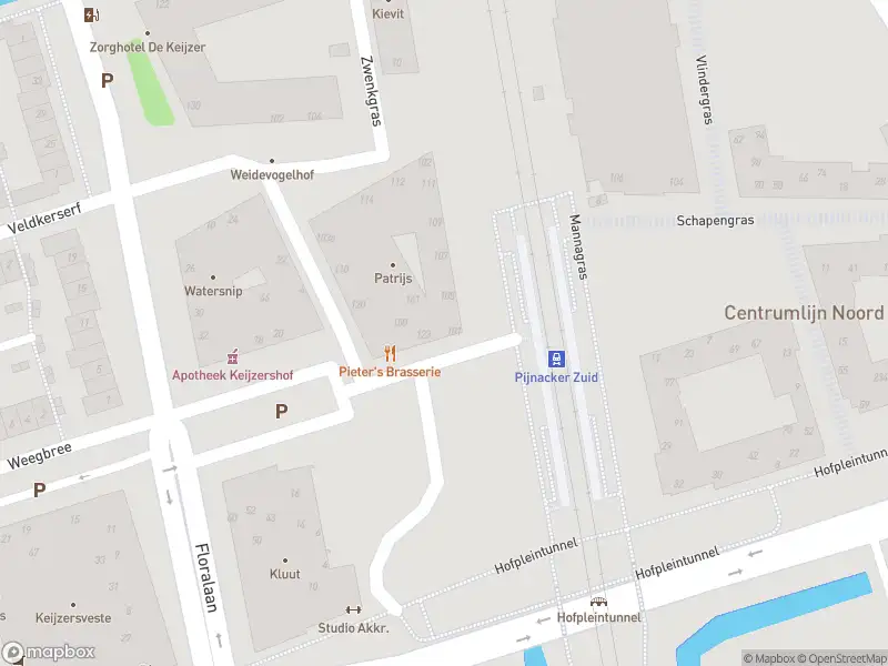 Ambulance met grote spoed naar de Raaigras in Pijnacker