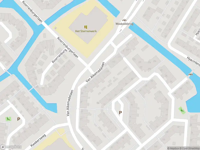 Overlastmelding Van Alkemadelaan in Sassenheim