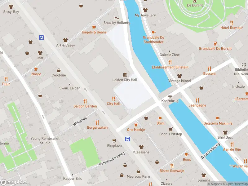 Ambulance met gepaste spoed naar de Stadhuisplein in Leiden