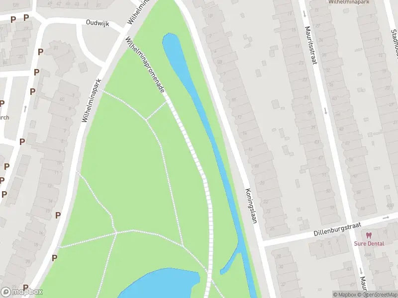 Brandweer met gepaste spoed naar de Wilhelminapark in Utrecht