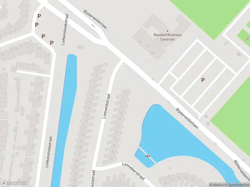 Anonieme overlastmelding Liesveldstraat in Tilburg