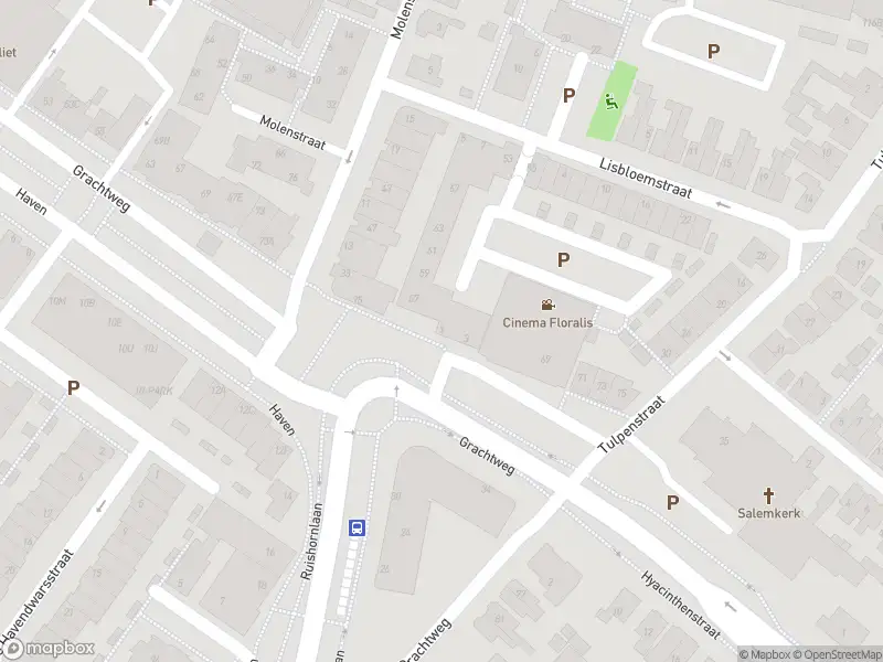 112 melding Overlastmelding Molenstraat in Lisse gesloten