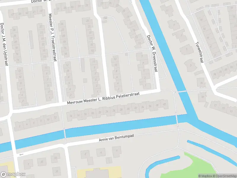 Overlastmelding Professor Meester P. Lieftinckstraat in Gorinchem