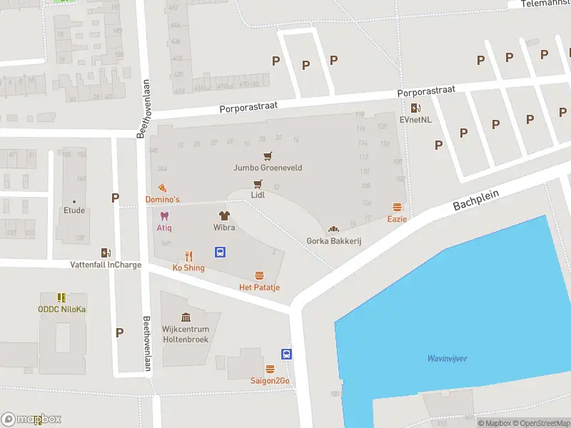Politie naar de Bachplein in Zwolle