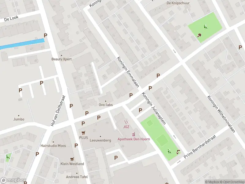 Brandweer met gepaste spoed naar de Prinses Beatrixstraat in Den Hoorn