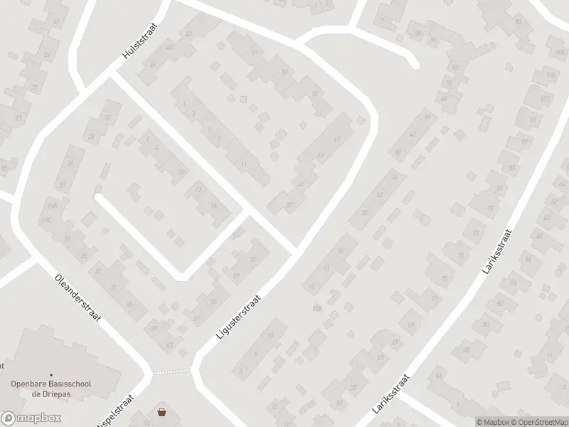 Overlastmelding Ligusterstraat in Echt