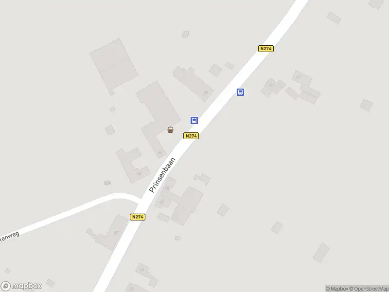 Overlastmelding Prinsenbaan in Koningsbosch