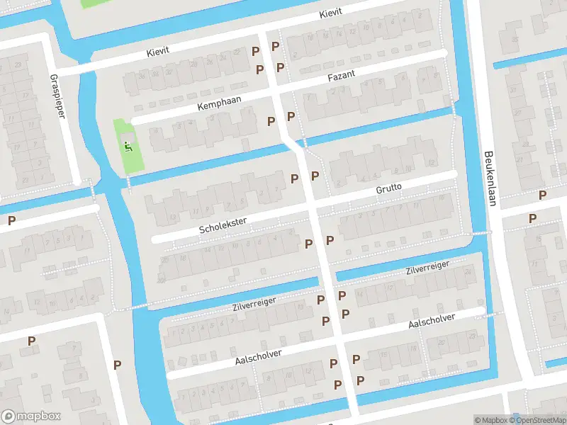 Overlastmelding Scholekster in Leimuiden