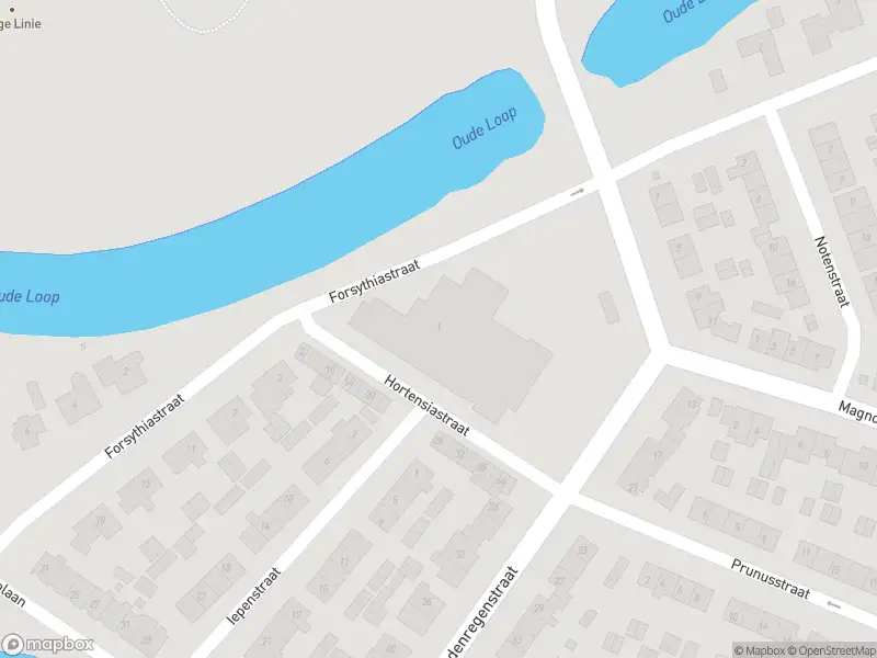 112 melding Overlastmelding Forsythiastraat in Doesburg