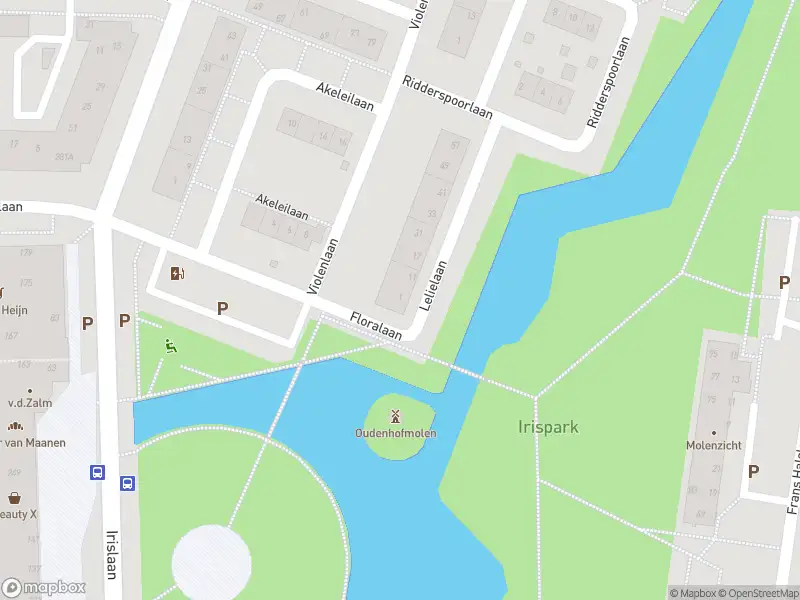 112 melding Overlastmelding Lelielaan in Oegstgeest