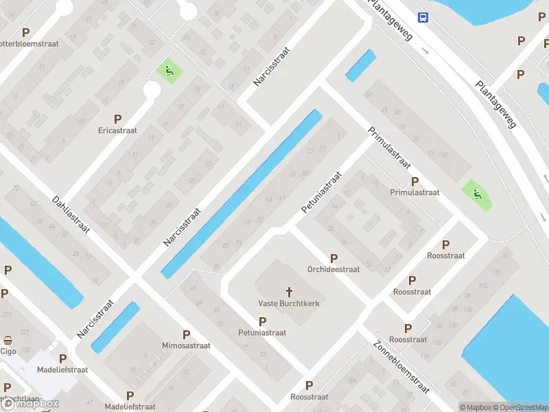 Anonieme overlastmelding Petuniastraat in Zwijndrecht