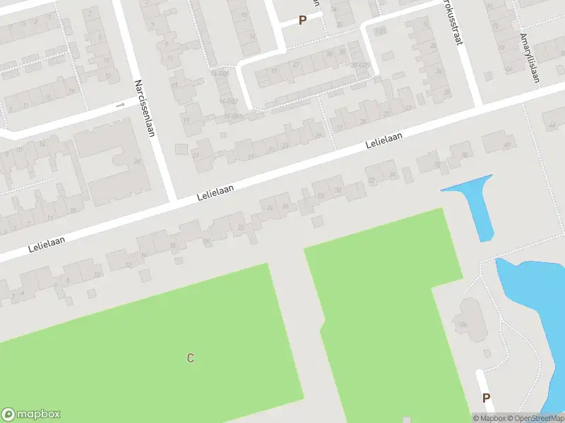 Overlastmelding Lelielaan in Hoogkarspel