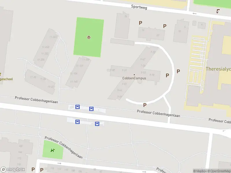 Overlastmelding Professor Cobbenhagenlaan in Tilburg