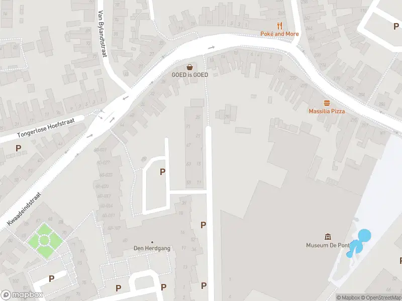 Overlastmelding Tjeuke Timmermansstraat in Tilburg