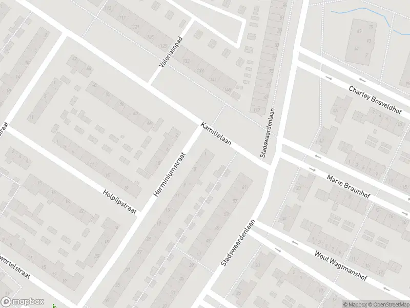Overlastmelding Herminiumstraat in Arnhem