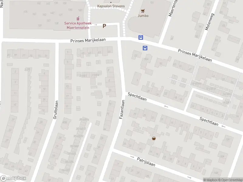 Traumahelikopter met grote spoed naar de Molenwiek in Maartensdijk