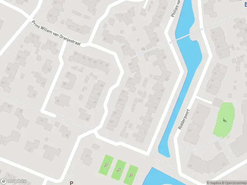 Overlastmelding Prins Willem van Oranjestraat in Sleeuwijk