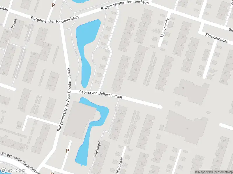 Overlastmelding Wielsingel in Oud-Beijerland